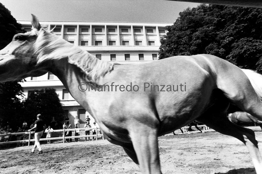 niguarda_100.tif