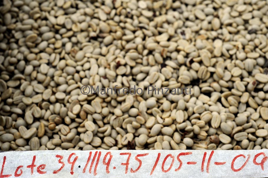 13 Illy Green Coffe Costa Rica . Dry