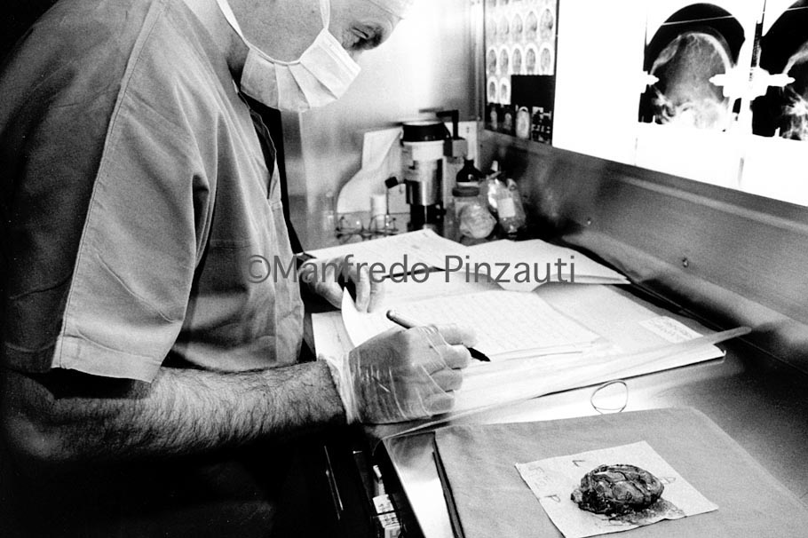 niguarda_044x.tif