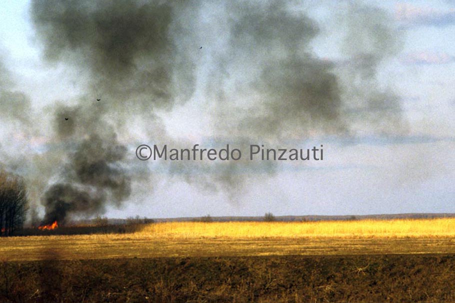 22 Danube's Delta . Landescape of Country near Partizani