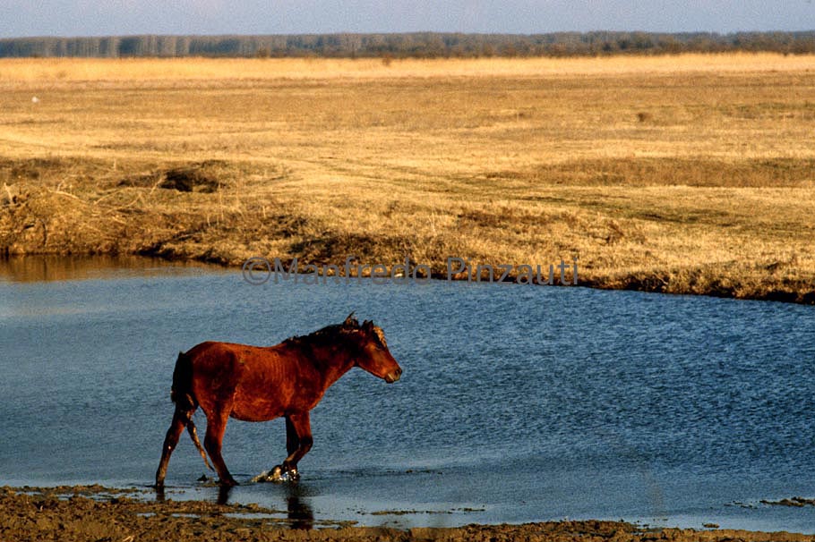 3 Danube ' s Delta Sulina Area . One of the more humid area of the World