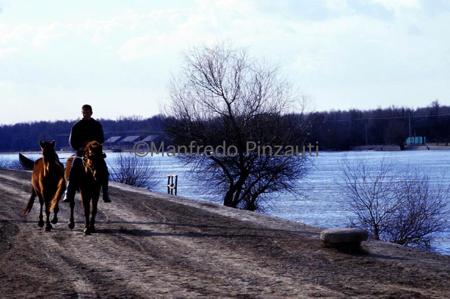 5 Danube ' s Delta . Sulina arm side