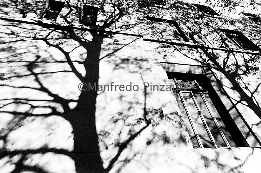 niguarda_123.tif
