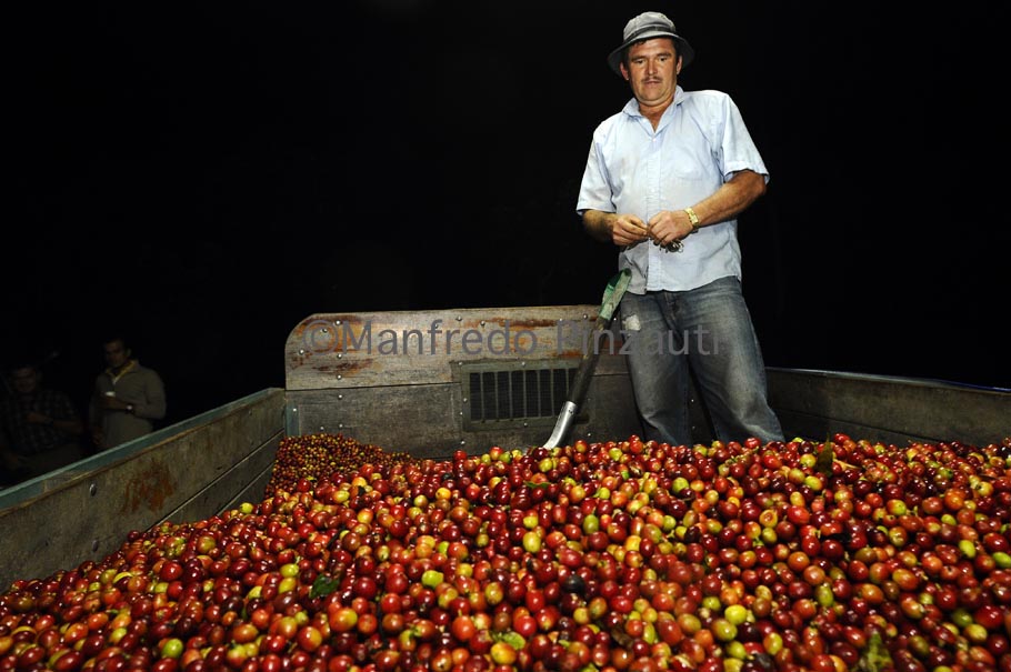 9 Ikky Green Coffe Costa Rica . Beneficio Lila