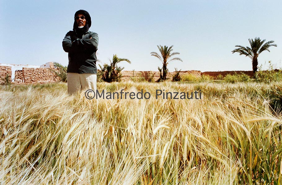 Saharawi