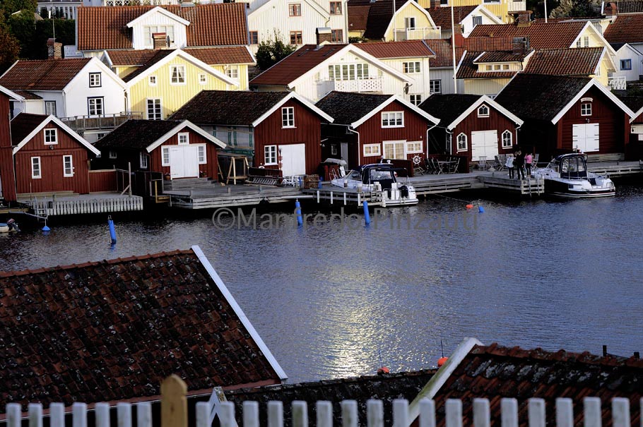 Fiskebacksil